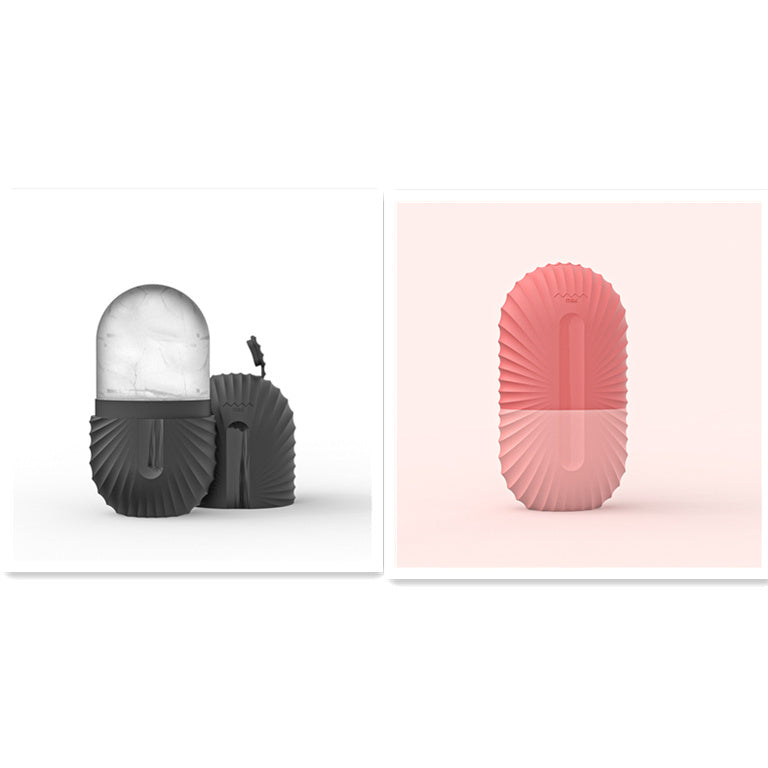 Accessori di bellezza Massaggio viso per il vassoio del ghiaccio del viso